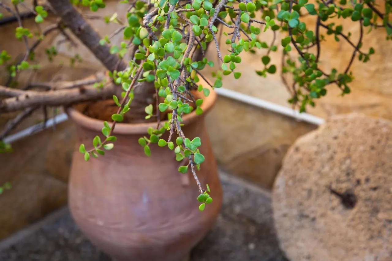 Σπίτι διακοπών La Casa D'Estate Βίλα Λακήθρα